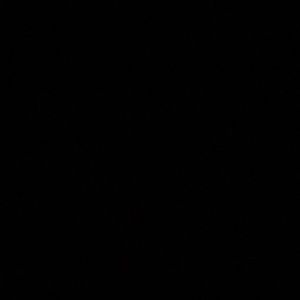 Meet your Posher, Marisa